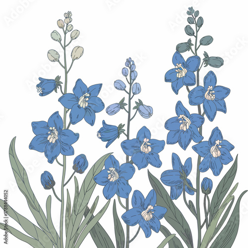 Elegant Delphinium Flower Illustration in Blue and Green on White Background Botanical Print for Home Decor