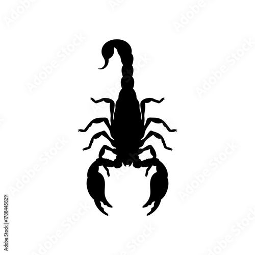 Scorpion silhouette silhouette vector flat illustration design.