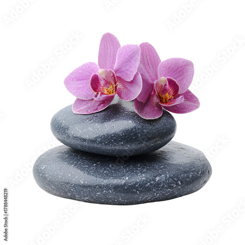 Zen stones with pink orchid flowers on white background
