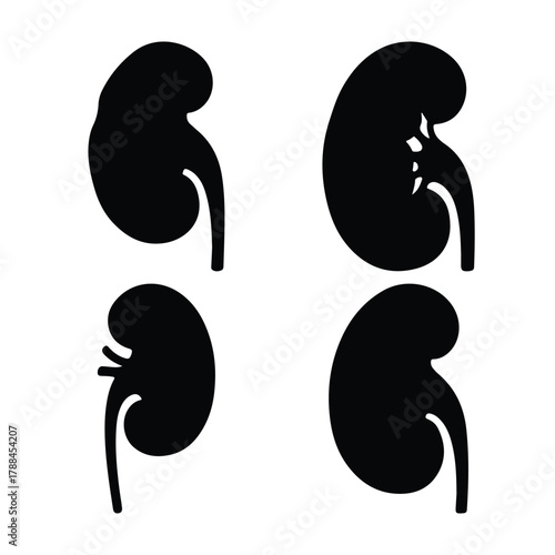 Human kidney silhouette vector set