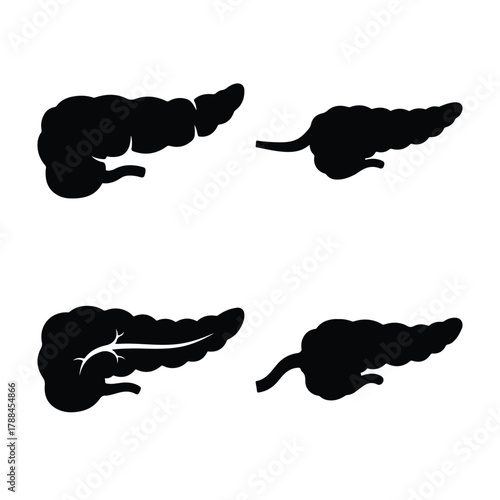Human pancreas silhouette vector set