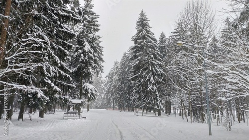 Tableau sur toile In winter, the ground, trees and gazebos in the park are covered with snow
