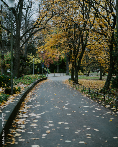 autumn in the park