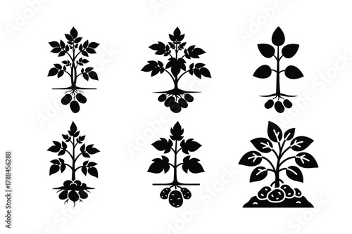 Tomato plant silhouette vector set