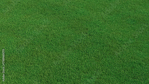 Wallpaper Mural Green grass texture background. A perfectly manicured Sports field / Pitch / Garden Lawn wallpaper.   Torontodigital.ca