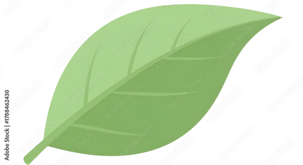 Fototapeta premium Stylized botanical illustration shows a single green leaf against a solid black background.