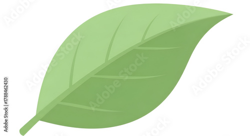 Stylized botanical illustration shows a single green leaf against a solid black background.