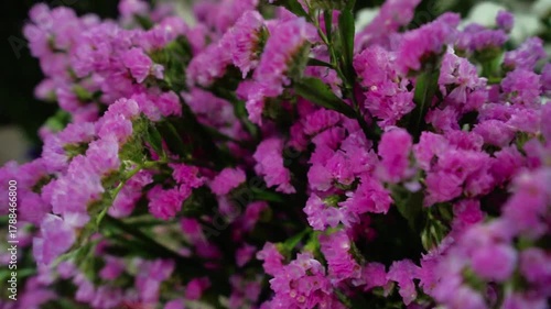 Colorful Statice Flower Bunch

