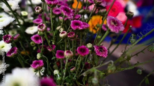 Purple color flowers
