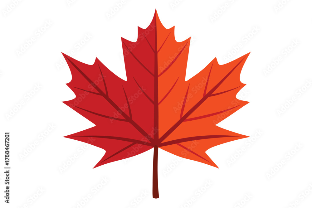 Naklejka premium maple leaf on white background