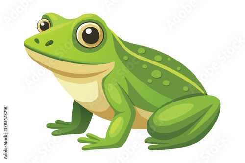 frog on white background