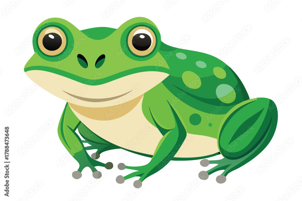 Obraz premium frog on white background