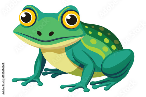 frog on white background