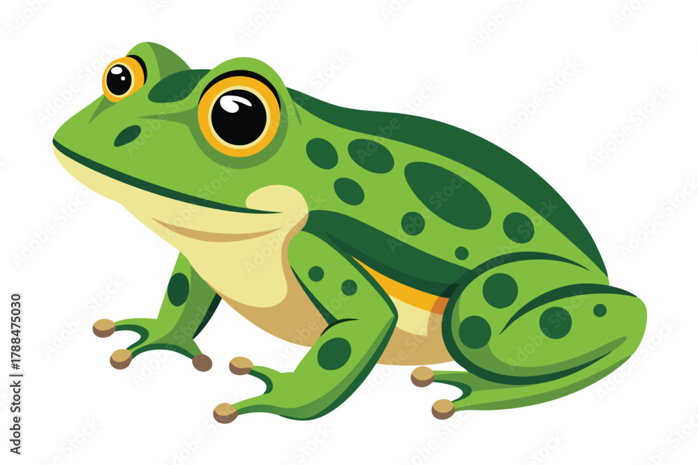 Obraz premium frog on white background