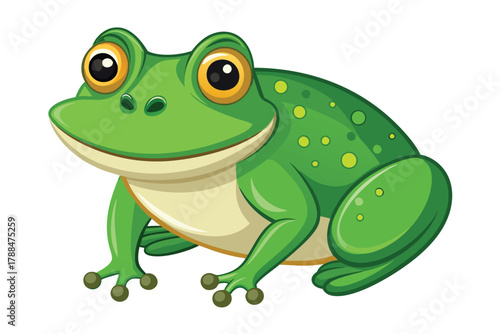 frog on white background
