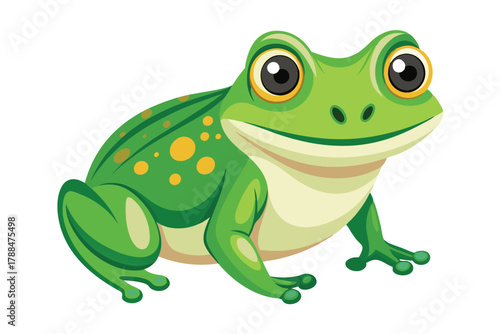 frog on white background