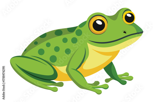 frog on white background