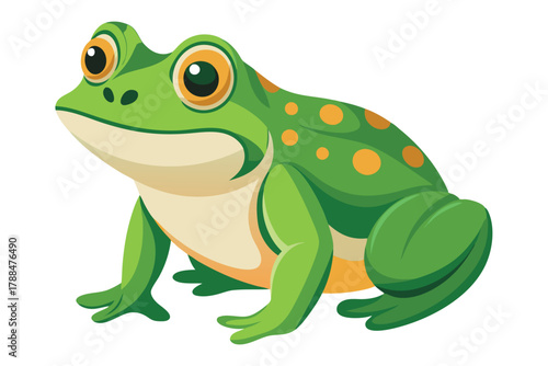 frog on white background