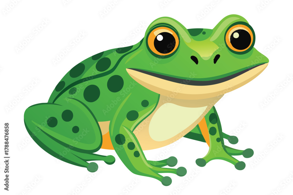 Obraz premium frog on white background