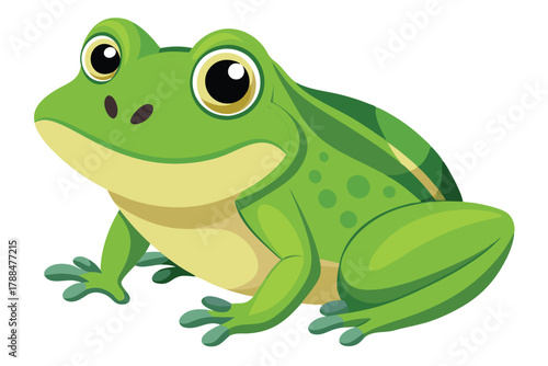 frog on white background