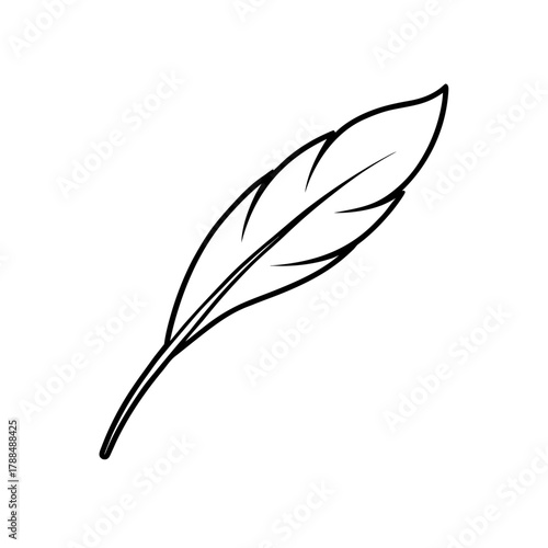 Simple feather outline design