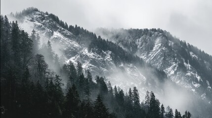 Tableau sur plexiglas  Misty Mountains Create a Tranquil Atmosphere for Reflection and Peace in Natures Beauty  © Anat art