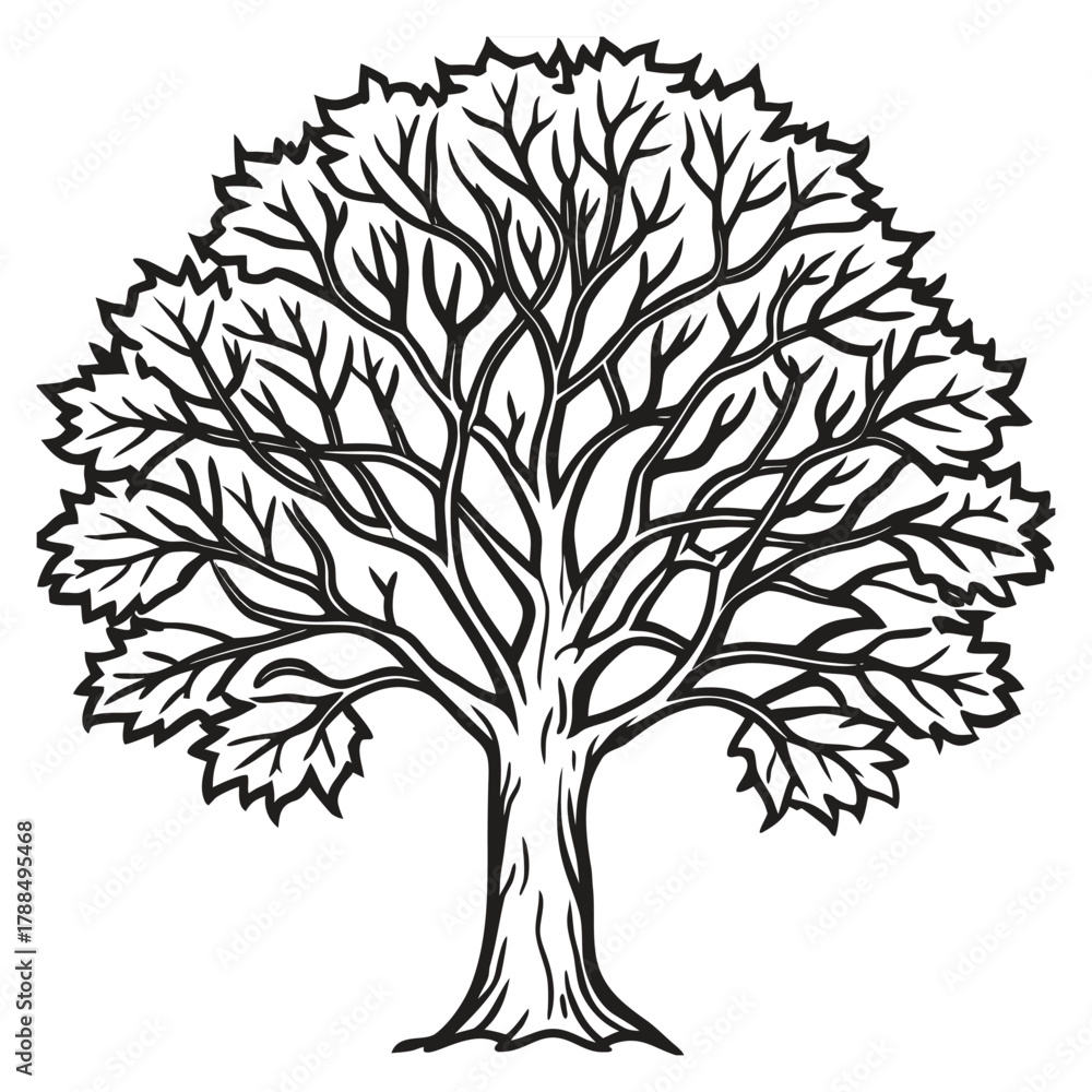 Obraz premium Black silhouette of a tree with detailed roots and foliage