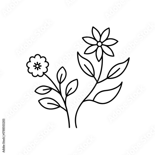 Two simple floral stems with leaves and flowers on transparent background