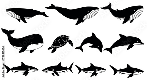 Silhouette illustrations of various marine animals including whales, a turtle, dolphins, and sharks.