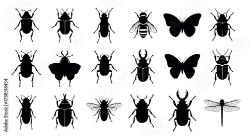 Silhouette collection of various insects including beetles, butterflies, and dragonflies arranged in a grid pattern.
