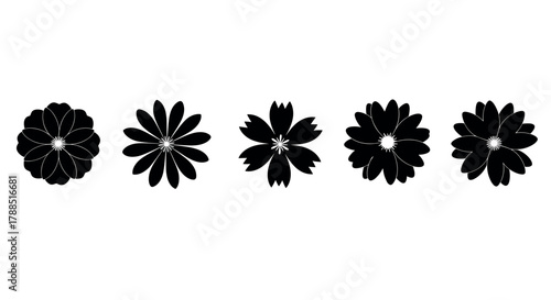 Five black silhouette floral patterns with distinct petal designs arranged in a horizontal sequence.