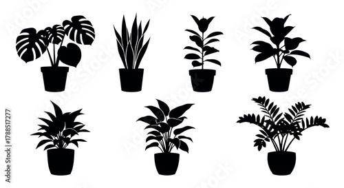 A collection of six black silhouette potted plants with various foliage shapes, showcasing different plant species in round containers.