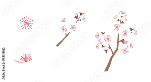 Delicate pink cherry blossom flowers and branches isolated on white background for spring and floral design