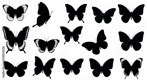 A collection of various black butterfly silhouettes displayed in different shapes and wing styles.