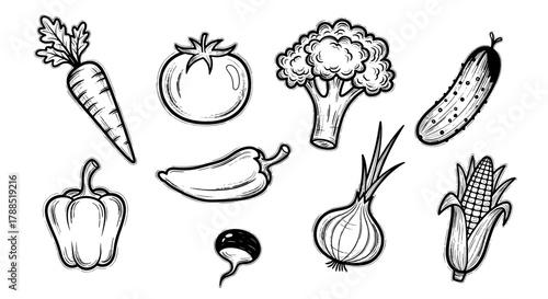 Black and white sketched illustration of various vegetables including a tomato, pepper, carrot, broccoli, cucumber, onion, corn, and radish.