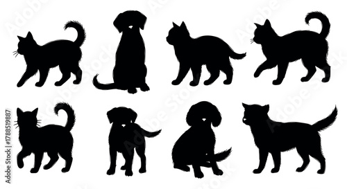 Silhouettes of four different cat poses and four different dog poses, each showcasing distinct body shapes and postures.