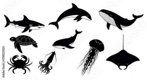 Black silhouette icons of various marine animals, including a shark, turtle, whale, dolphin, squid, jellyfish, crab, and ray, showcasing ocean wildlife diversity.