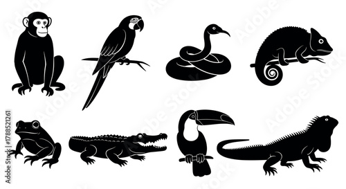 Black silhouette icons of various exotic animals including a monkey, parrot, snake, chameleon, frog, crocodile, toucan, and iguana in distinct poses.