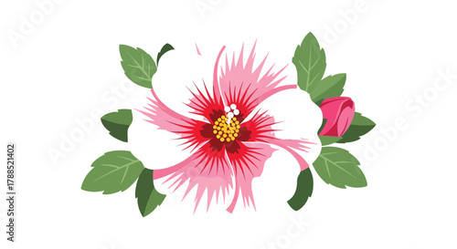 Beautiful delicate pink hibiscus flower with green leaves and a bud on a white background