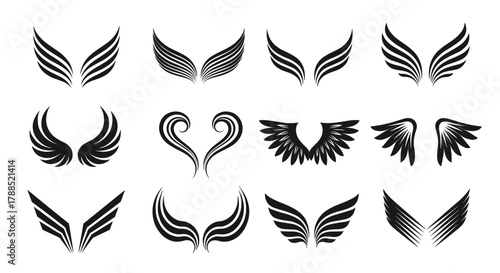 Elegant black wing tattoo designs collection, decorative angel and bird feather vector illustration set, fantasy abstract wings silhouette art, vintage style, isolated