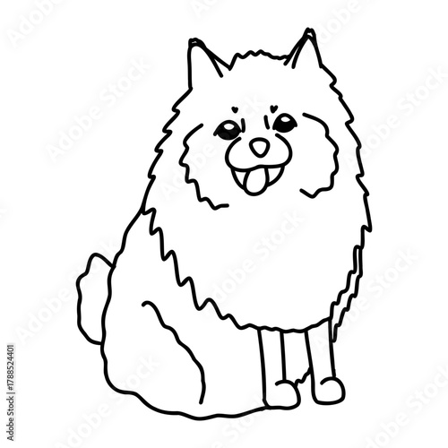 Hand drawn vector doodle set with pomeranian spitz dog