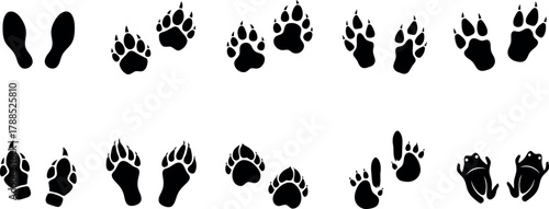 Footprint and animal tracks icon set Vector