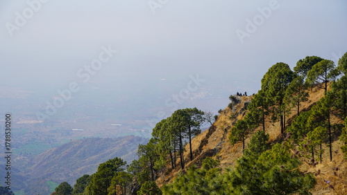 A steep mountain slope covered in a lush pine forest overlooks a vast, hazy valley. The receding mountain layers create a sense of immense depth under a pale, atmospheric sky.