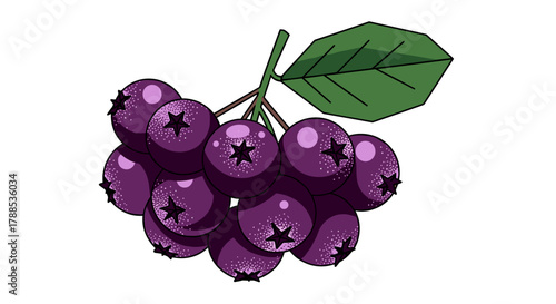 Chokeberry cluster with geometric leaf, gradient dots, white background, vector illustration