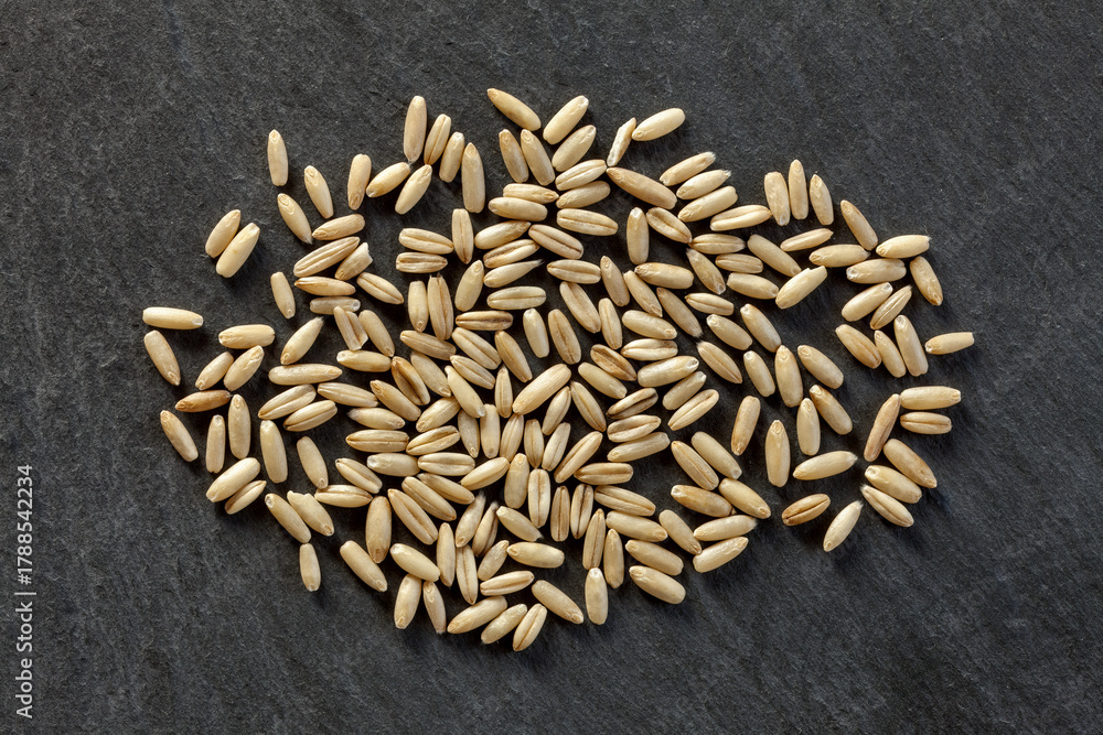 Obraz premium Whole oat grains scattered on a dark background. Natural texture, organic cereal, ideal for food, agriculture, and nutrition visuals