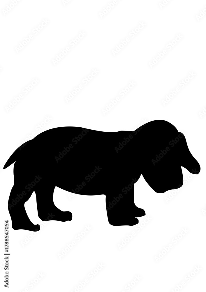 Obraz premium silhouette of a polar bear