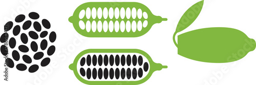 Sesame Seeds Pods and Plant Vector Icons