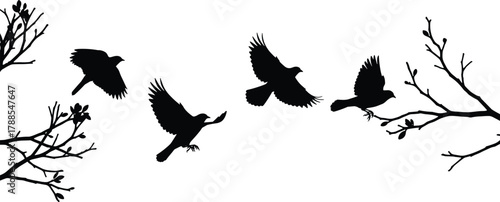 Black silhouette of birds in flight among budding tree branches for nature, seasonal transition, and symbolic vector content