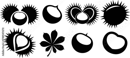 Monochrome Horse Chestnut Vector Collection