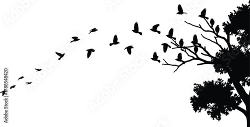 Black silhouette of tree with perched and flying birds in arc formation for nature, motion, and symbolic vector content